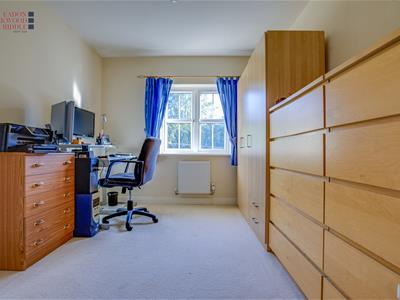 Picture 17